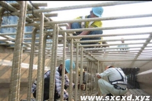 國外玻璃纖維筋的應用領域