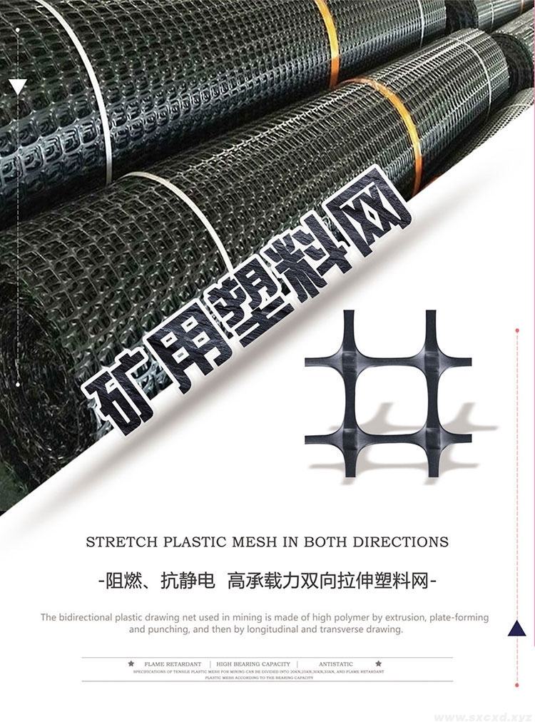 雙向礦用塑料網假頂帶